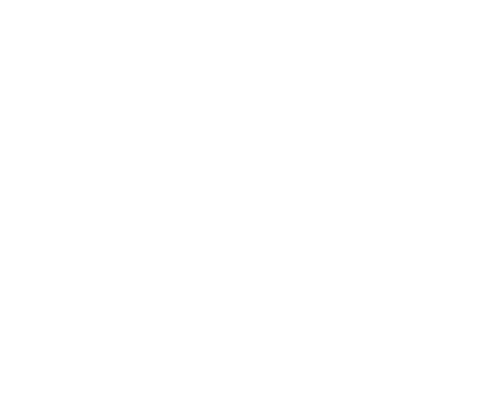 logo usa corporation services